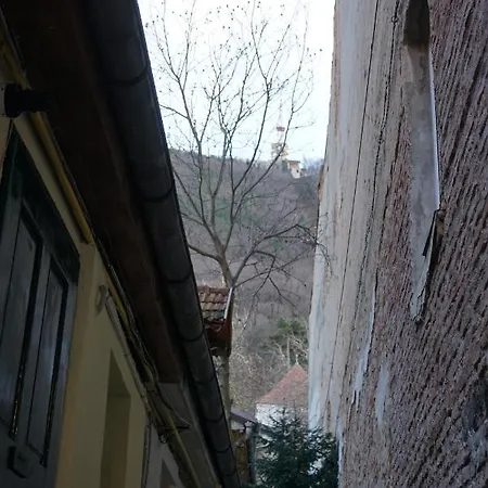 Apartament Crown Of Karolina *