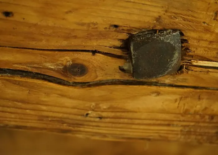 Crown Of Karolina * Braşov